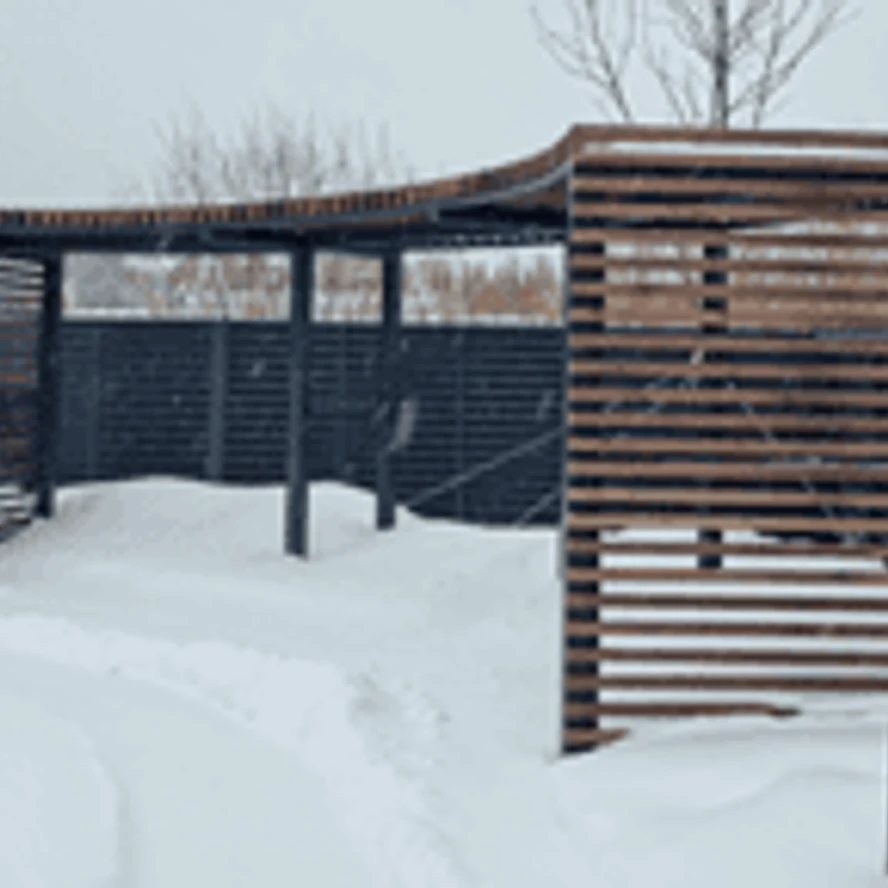 Работа 1